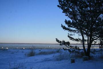 Фото номера Дом с 1 спальней Дома для отпуска Ranniku Holiday House г. Раннакула 14